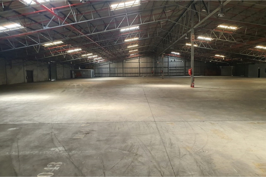 To Let commercial Property for Rent in Struandale Industrial Eastern Cape